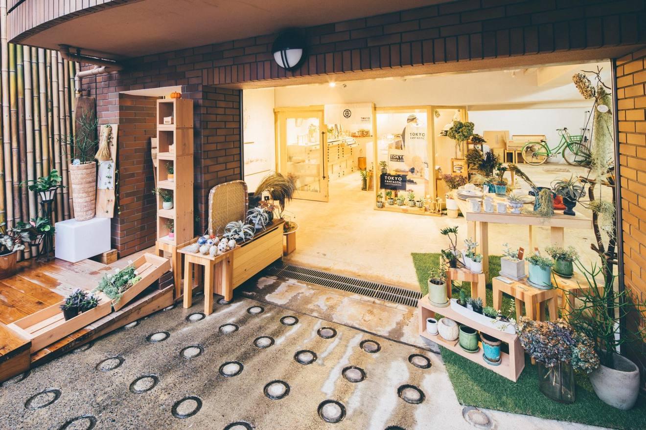 青山の花と緑のギャラリー