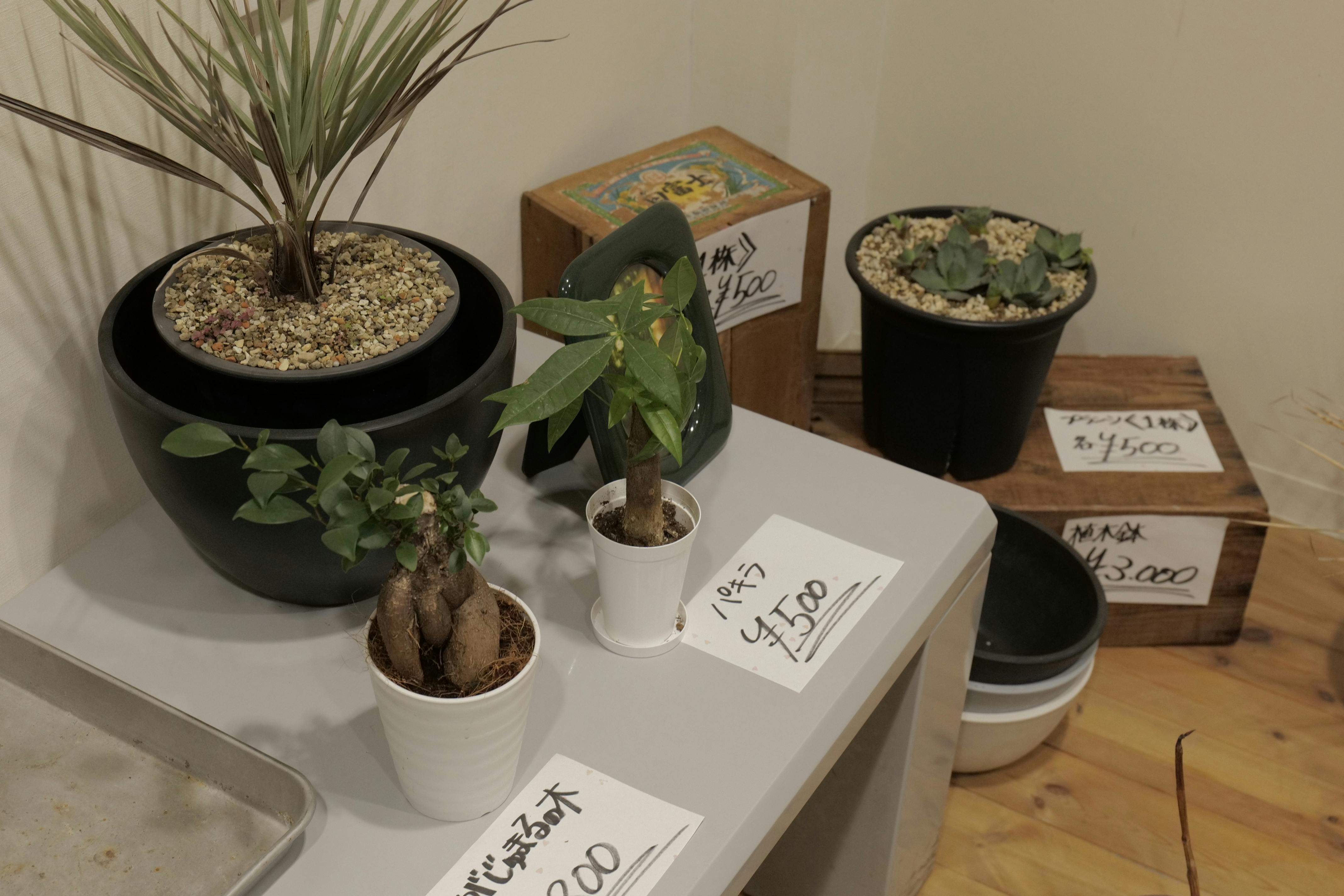 スペースの展開事例2