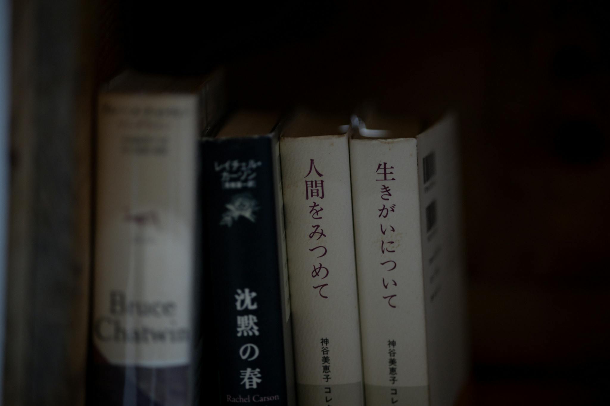 スペースの展開事例9