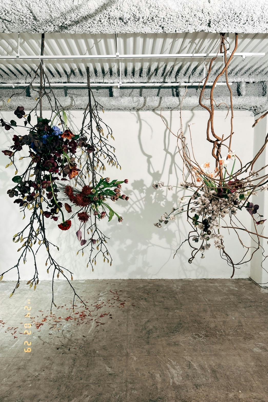 スペースの展開事例6