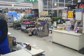 【サンデー大船渡店】グリーンショップ 食物販やプロモーション等の出店に最適なホームセンター店内のイベントスペース