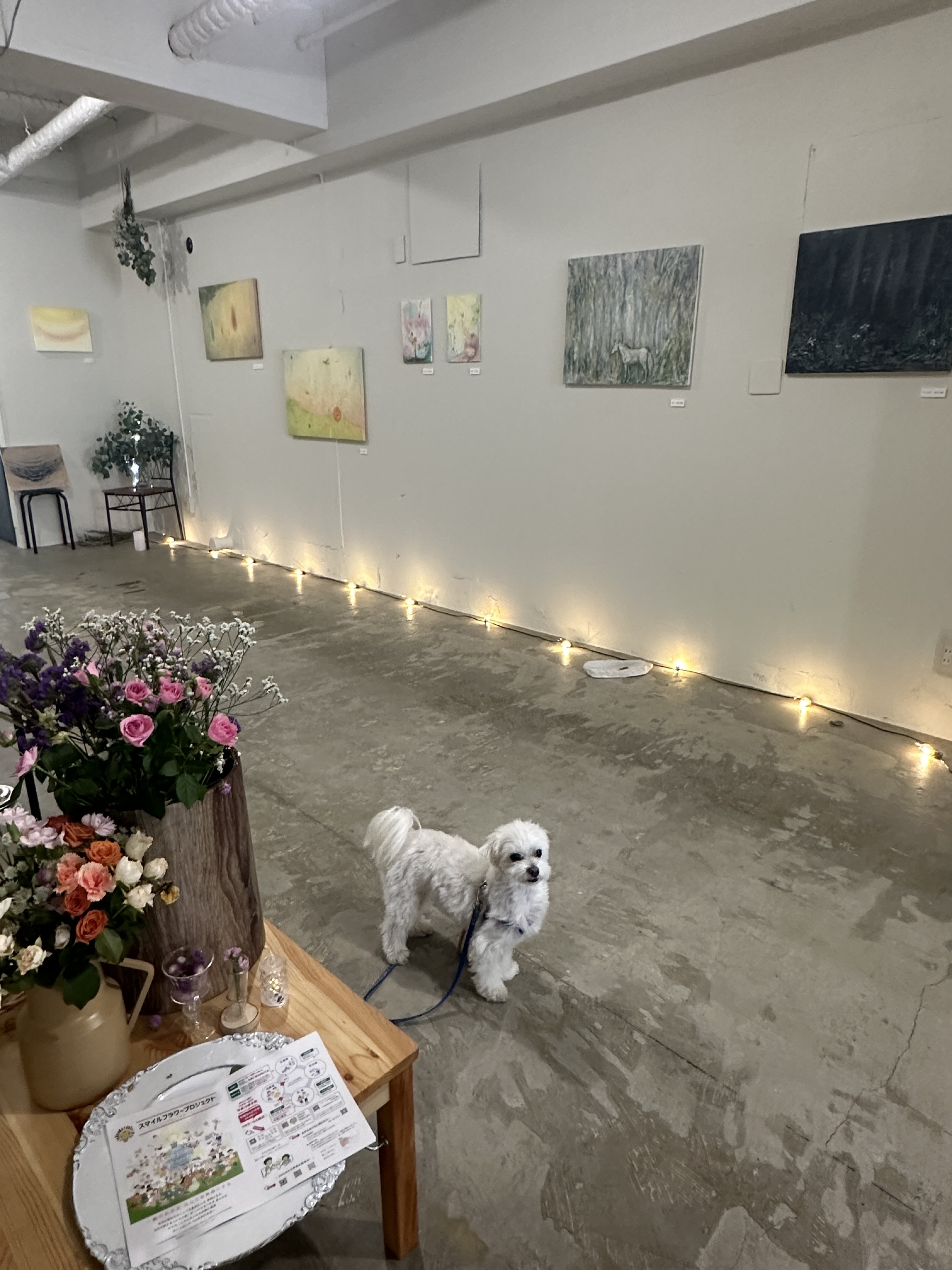 【江古田ゆうゆうロード商店街｜江古田駅3分】2024年8月オープンのマルシェ、ワークショップ、個店やファッション・アパレルの展示会に適した大型路面レンタルスペースの画像9