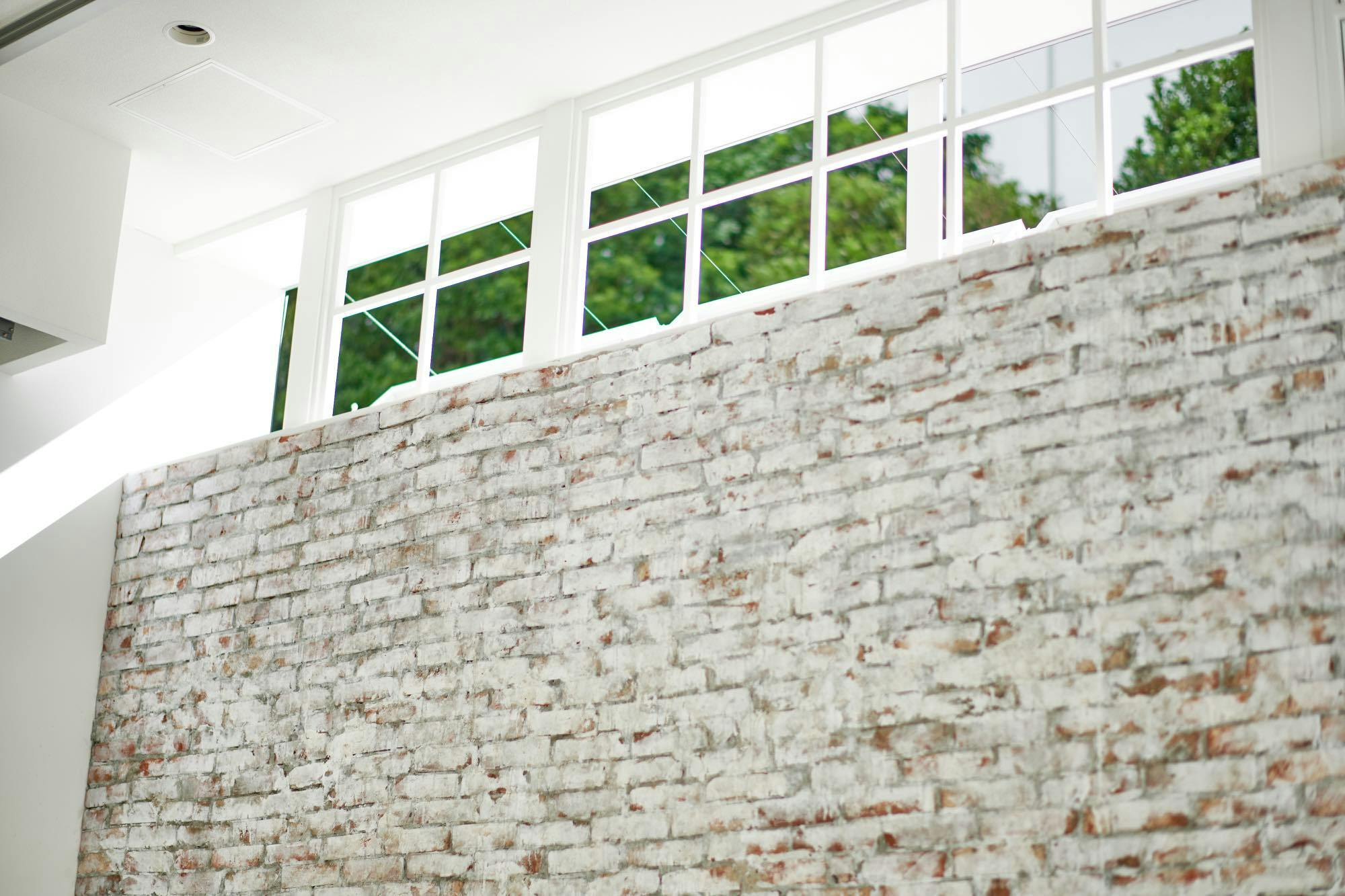 【渋谷駅6分】展示会や撮影に最適な白を基調としたモダンナチュラルな路面スペース