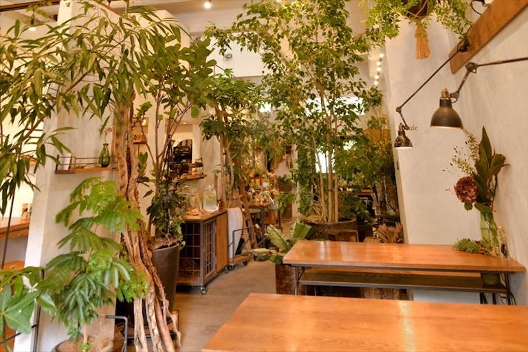 【目黒区家具屋通り】ワークショップやポップアップストアに適した緑豊かなフラワーショップとカフェ一体型のユニークなイベントスペース(カフェスペース)の画像2