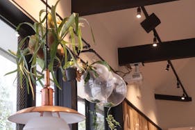 【渋谷駅8分】アパレルのポップアップストア、展示会に適した代官山、桜丘、鉢山に囲まれた高級住宅が立ち並ぶエリアに位置するカフェ内イベントスペース(部分貸し)