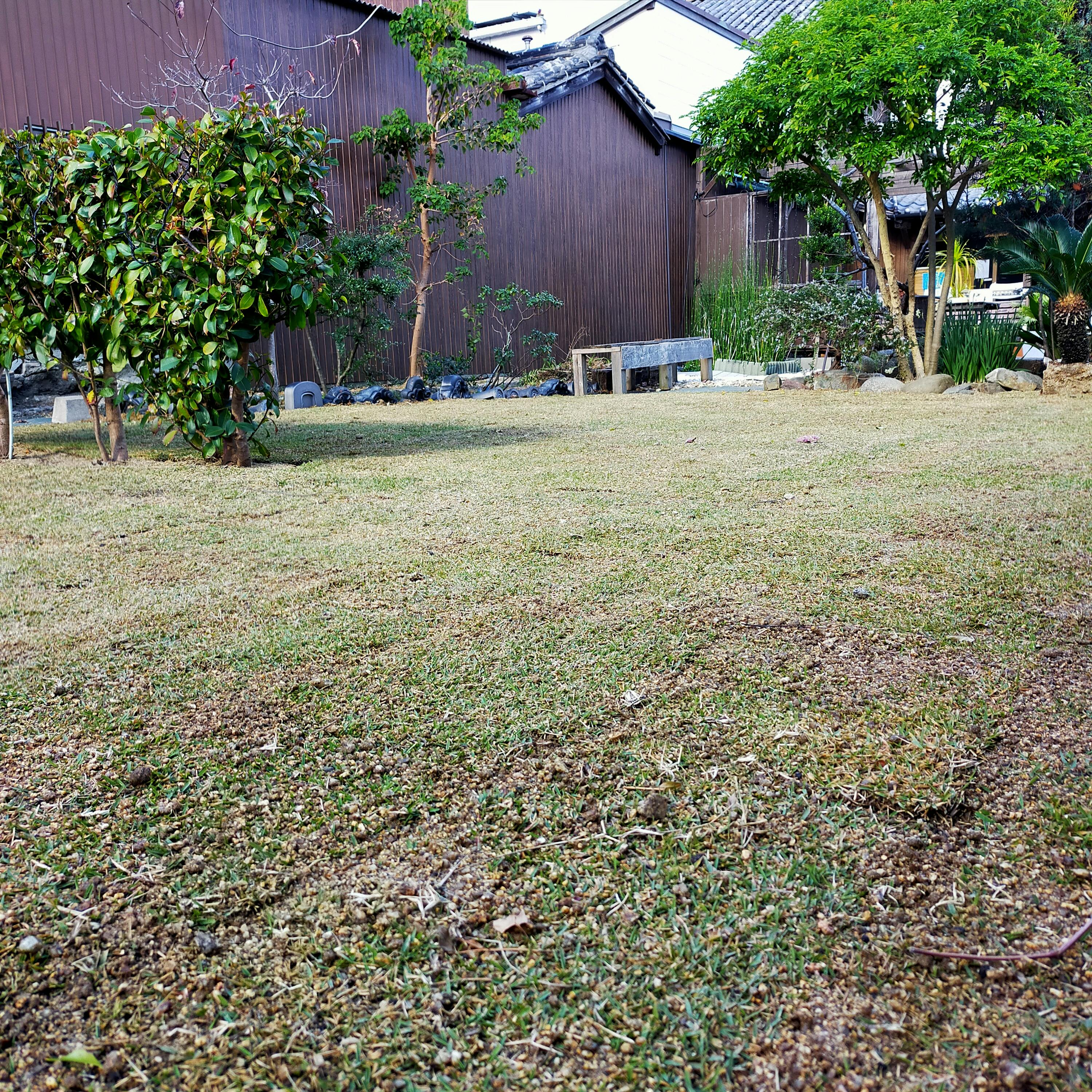 フワフワの天然芝は野外イベントにピッタリ!