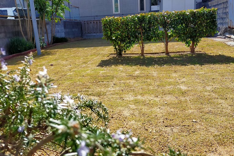 【兵庫県淡路島】ワークショップや撮影に利用できる緑に囲まれた飲食店併設のイベントスペースの画像7
