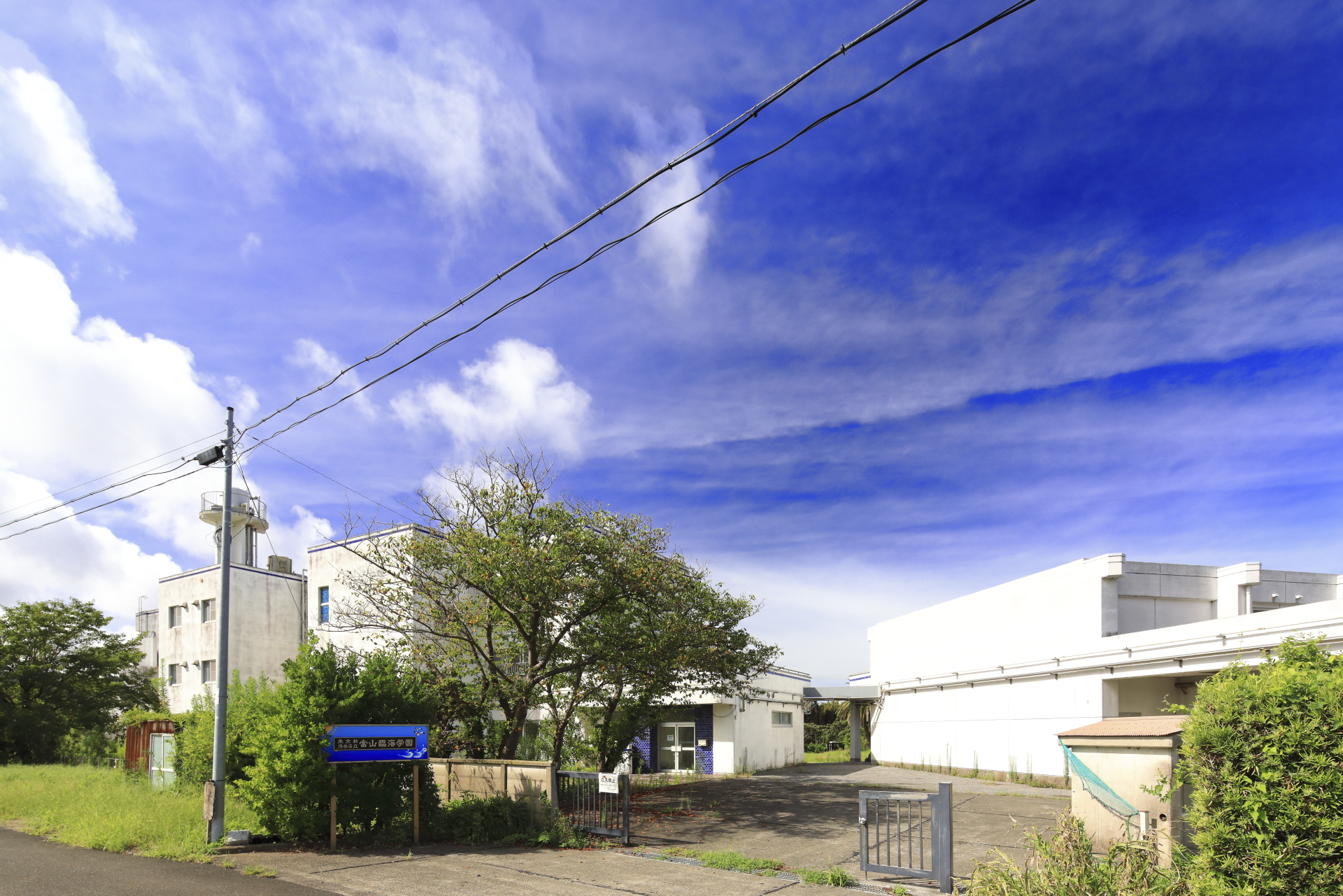 【千葉県南房総市】学校を舞台としたロケーション撮影会に最適な自然に囲まれた景観の良い撮影施設の画像27