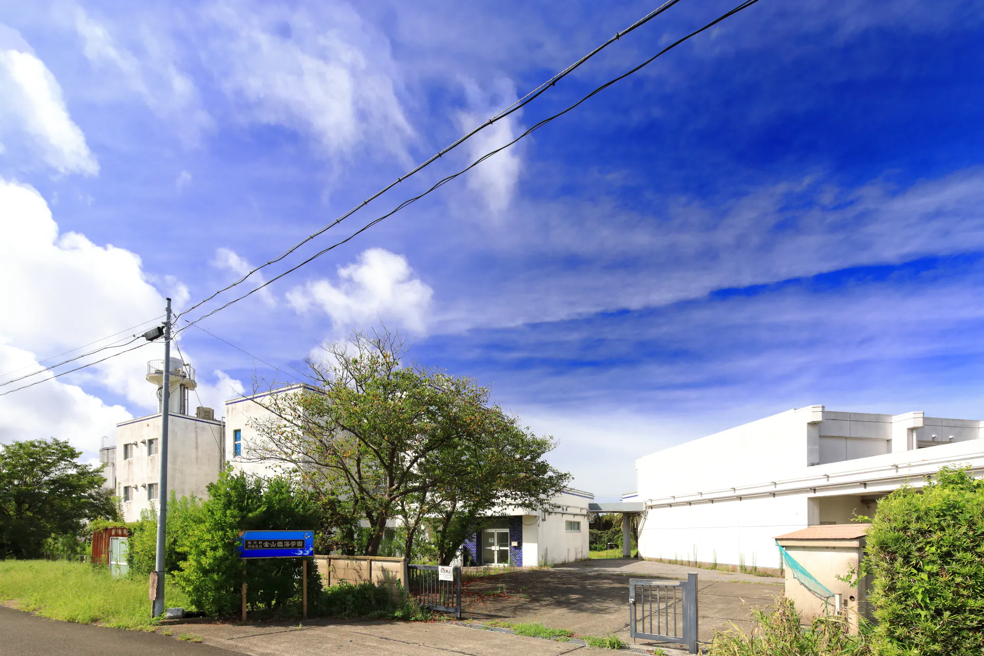 【千葉県南房総市】学校を舞台としたロケーション撮影会に最適な自然に囲まれた景観の良い撮影施設