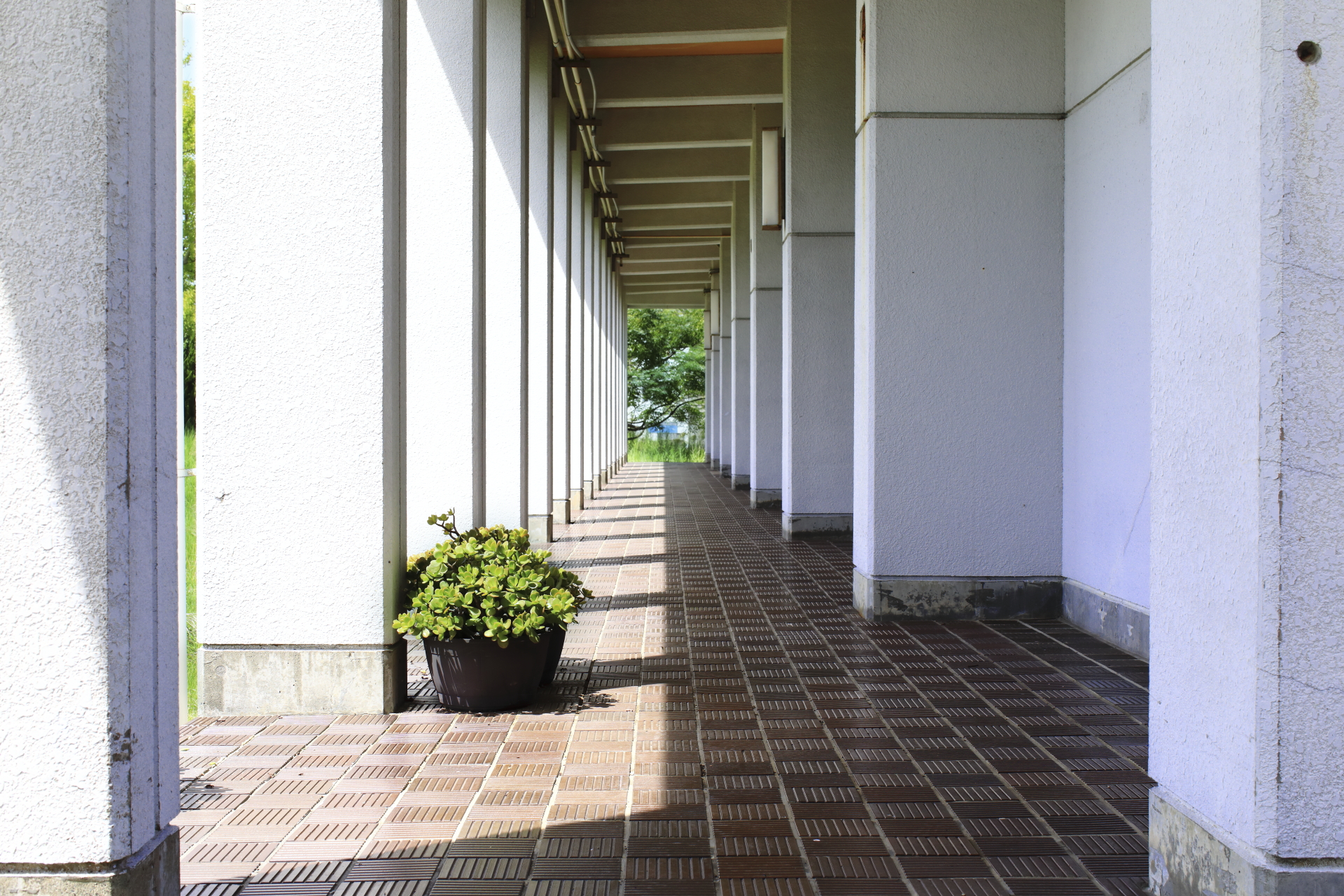 【千葉県南房総市】学校を舞台としたロケーション撮影会に最適な自然に囲まれた景観の良い撮影施設の画像29