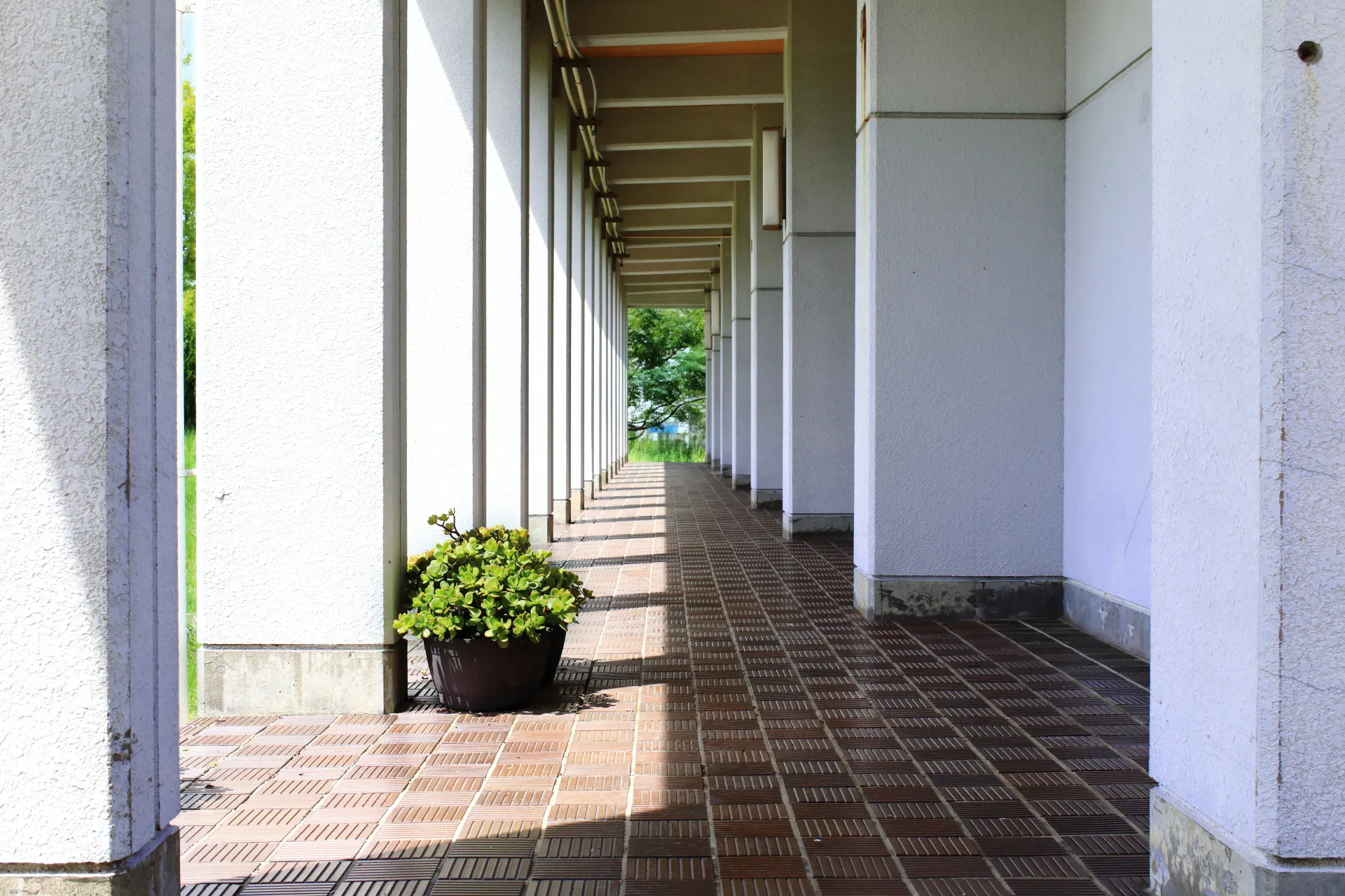 【千葉県南房総市】学校を舞台としたロケーション撮影会に最適な自然に囲まれた景観の良い撮影施設