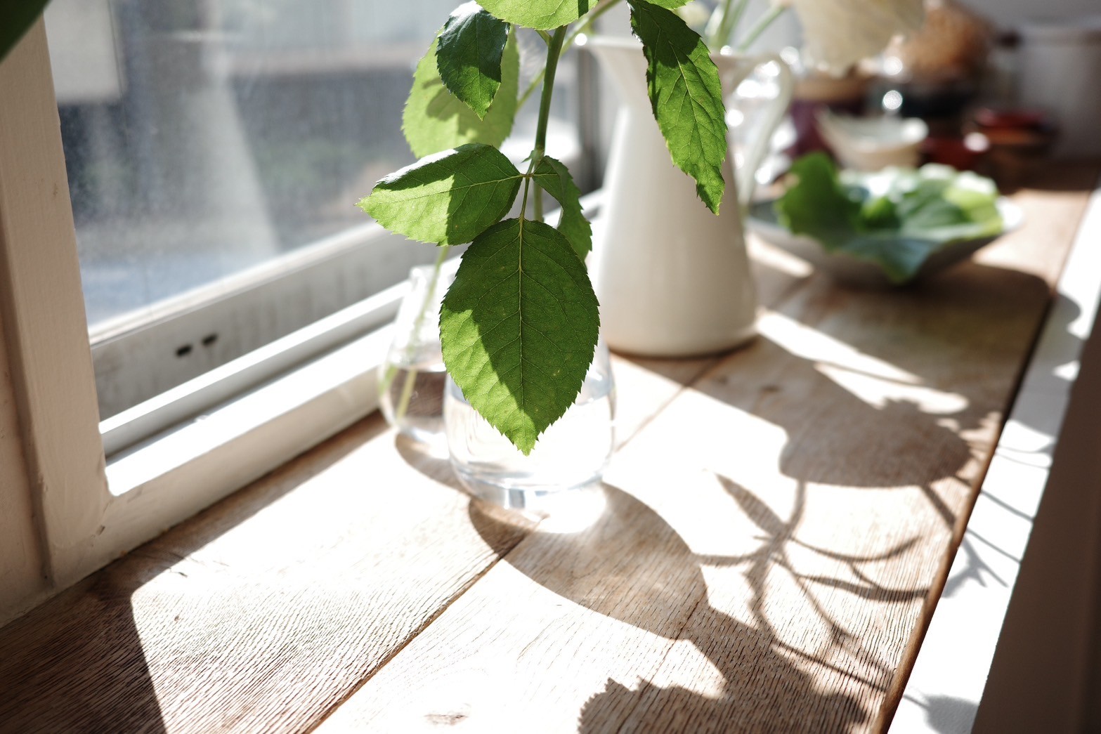 【都立大学駅1分】撮影・ロケに適したハウススタジオレンタルスペース