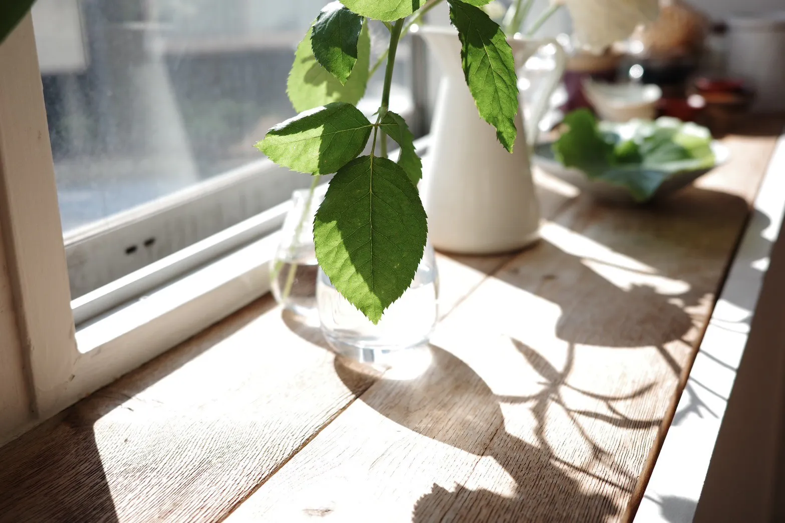 【都立大学駅1分】撮影・ロケに適したハウススタジオレンタルスペース