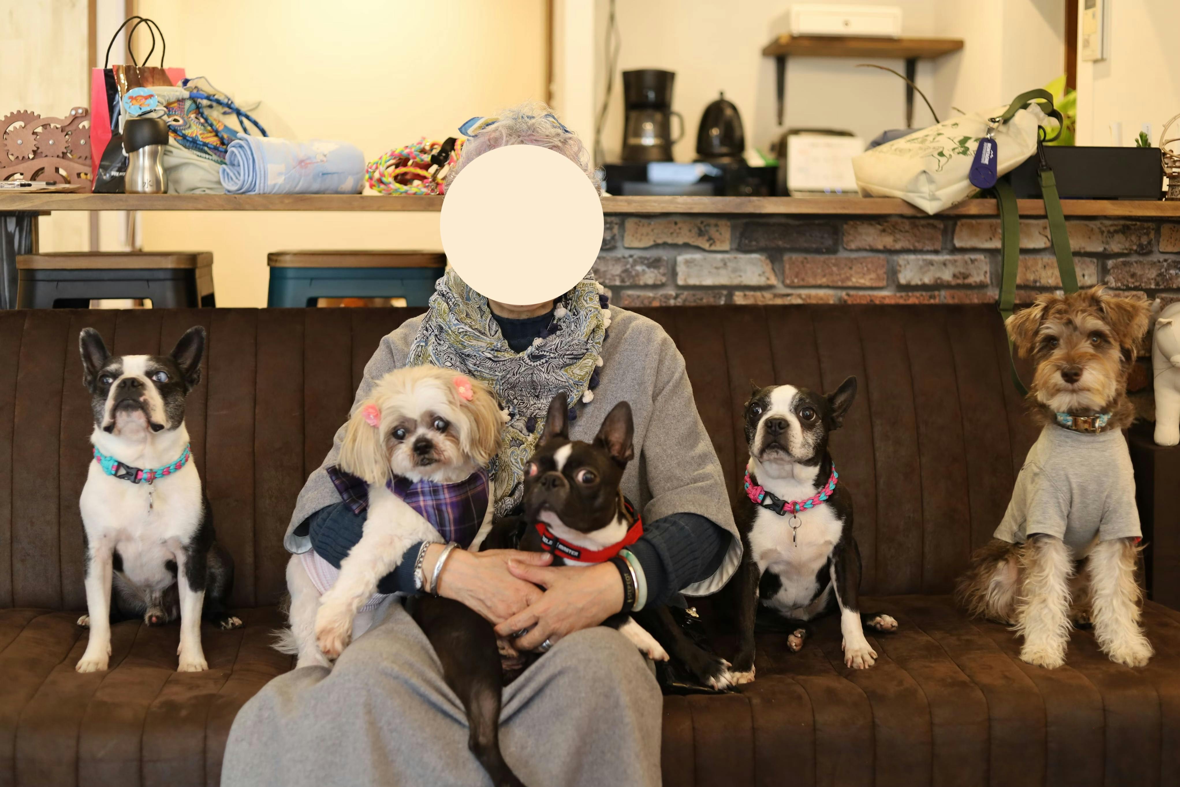 【石川町駅3分】展示会やサロンに適したペット利用可能なレンタルスペース