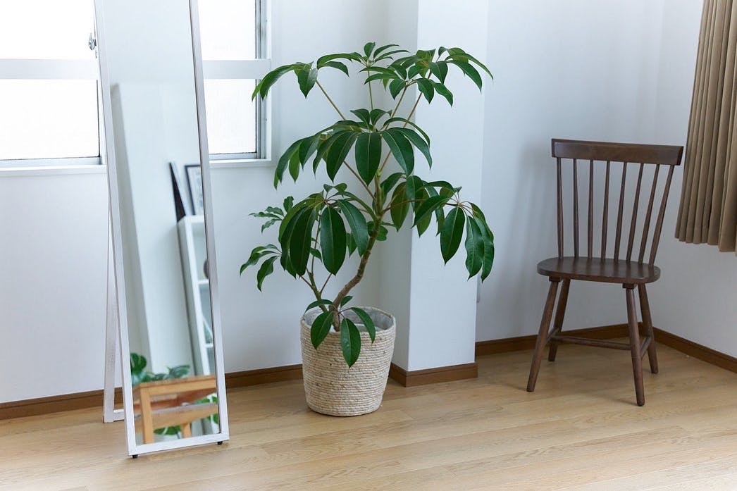 【江戸川橋駅5分】ロケや撮影会等の撮影用途、ワークショップやアパレル展示会に最適な自然光が入るレンタルスペース