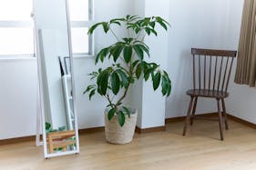 【江戸川橋駅5分】ロケや撮影会等の撮影用途、ワークショップやアパレル展示会に最適な自然光が入るレンタルスペース