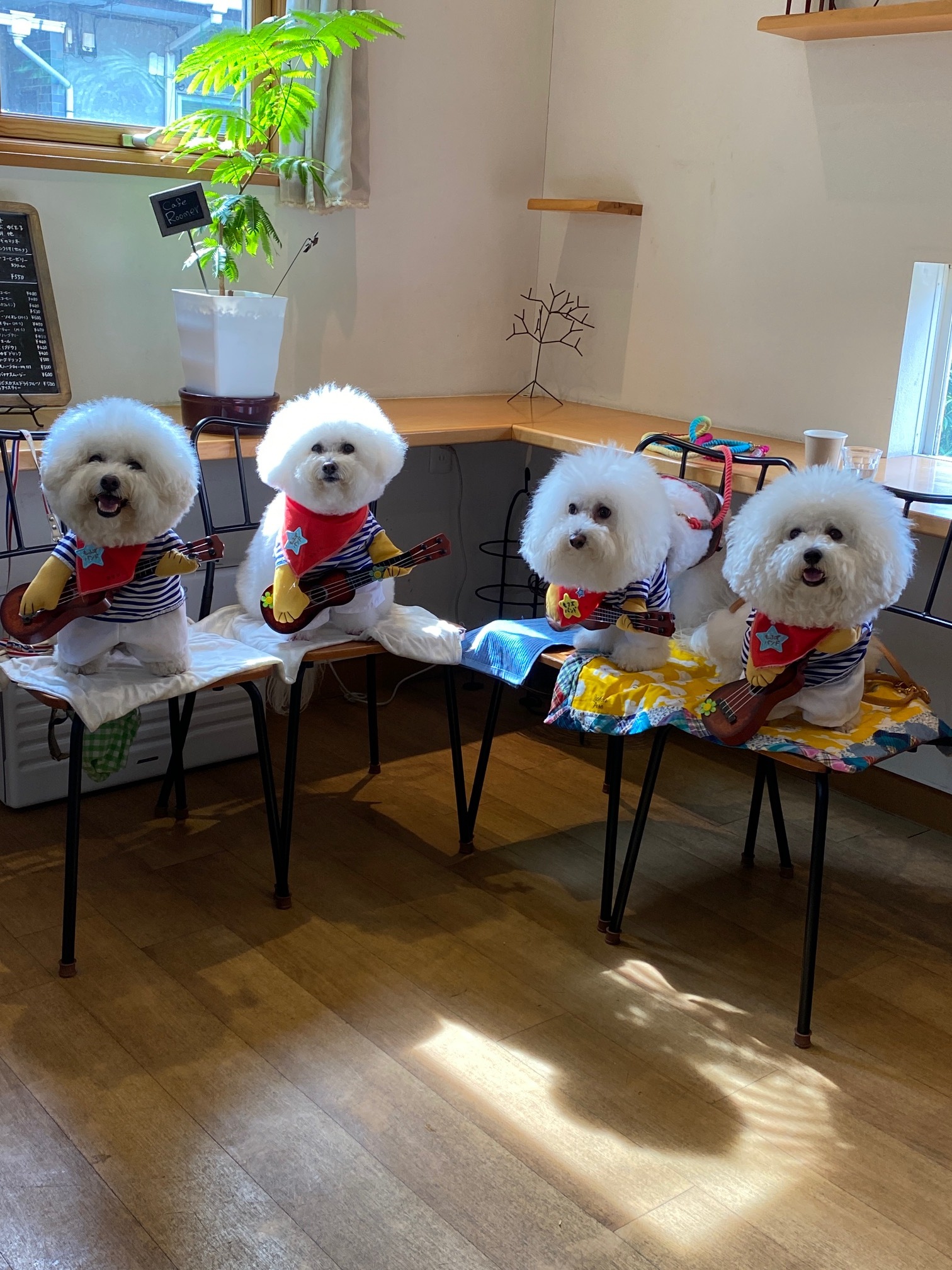 【祖師ヶ谷大蔵駅5分／ギャラリー】個展やグループ展等のギャラリー用途、ポップアップストアやワークショップに最適なペットOKのイベントスペース