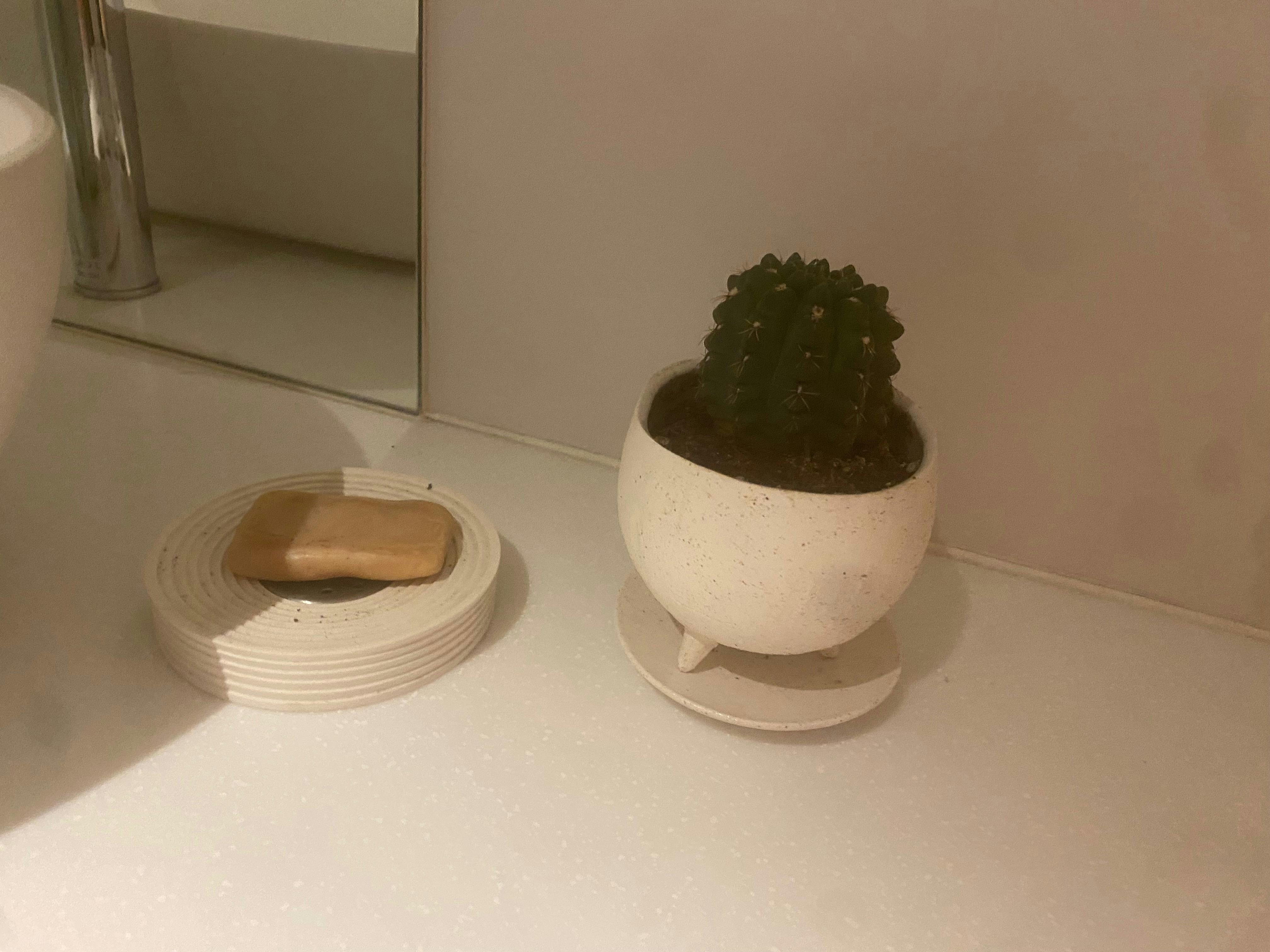 【自由が丘駅12分】撮影や展示会に適したバスタブが特徴な家具や小物が豊富なスタジオ