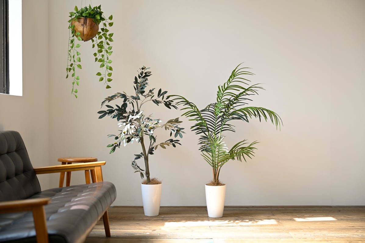 【駒場東大前駅10分】アパレル撮影等に最適なモルタルとウッドのバリエーションが撮れる自然光スタジオ