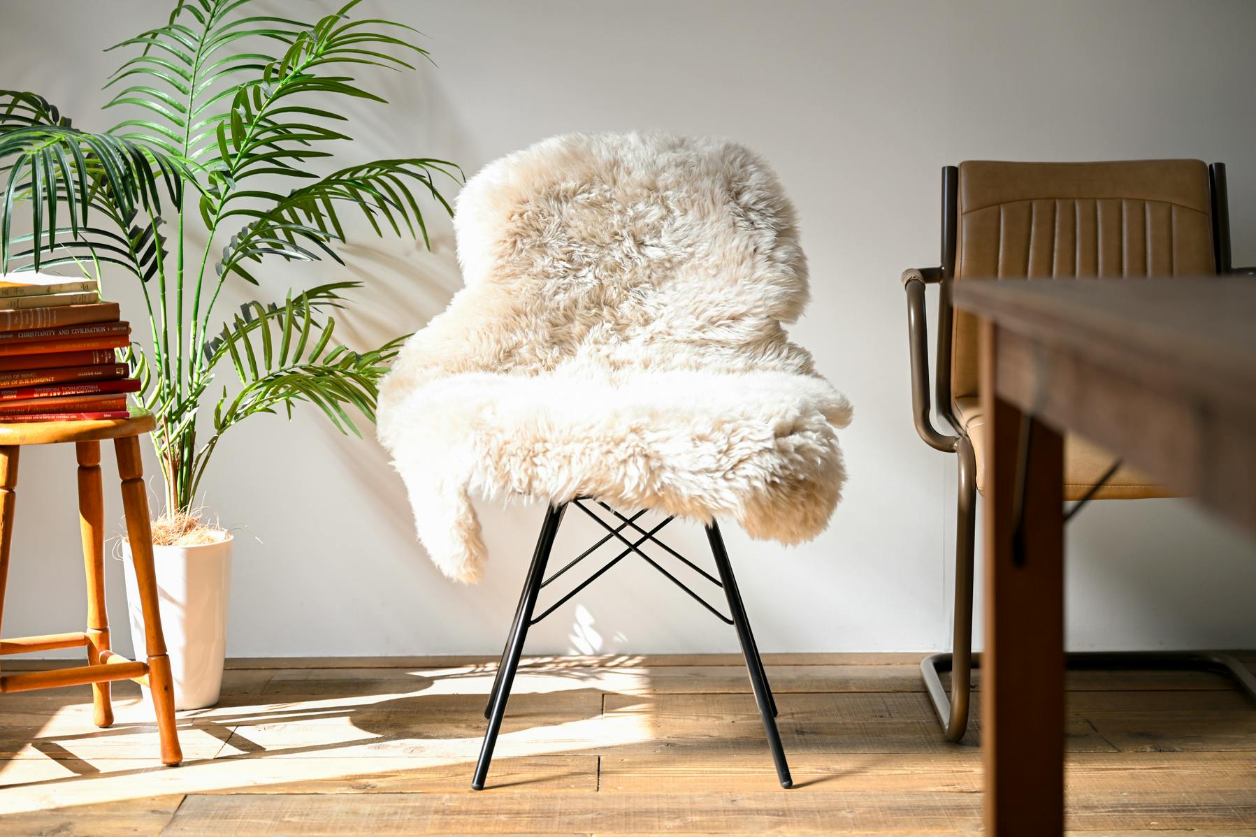 【駒場東大前駅10分】アパレル撮影等に最適なモルタルとウッドのバリエーションが撮れる自然光スタジオ