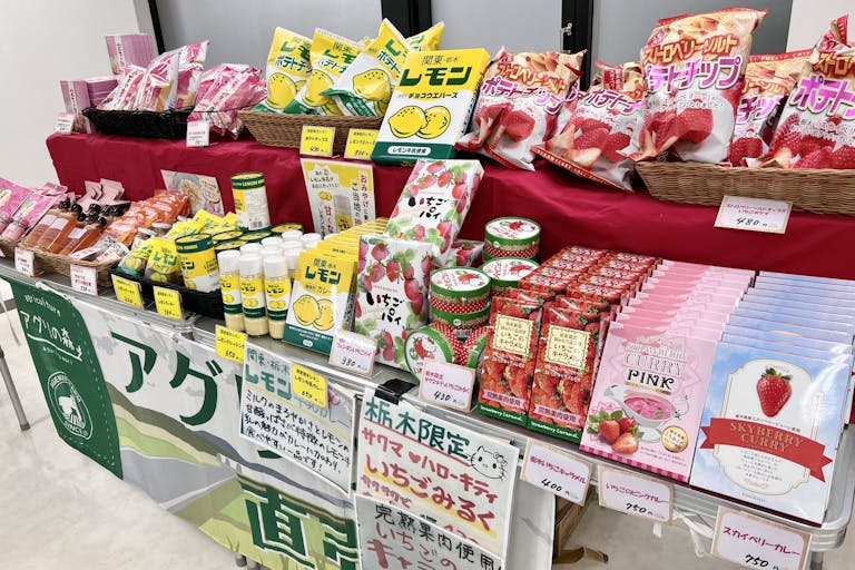 店舗陳列イメージ1