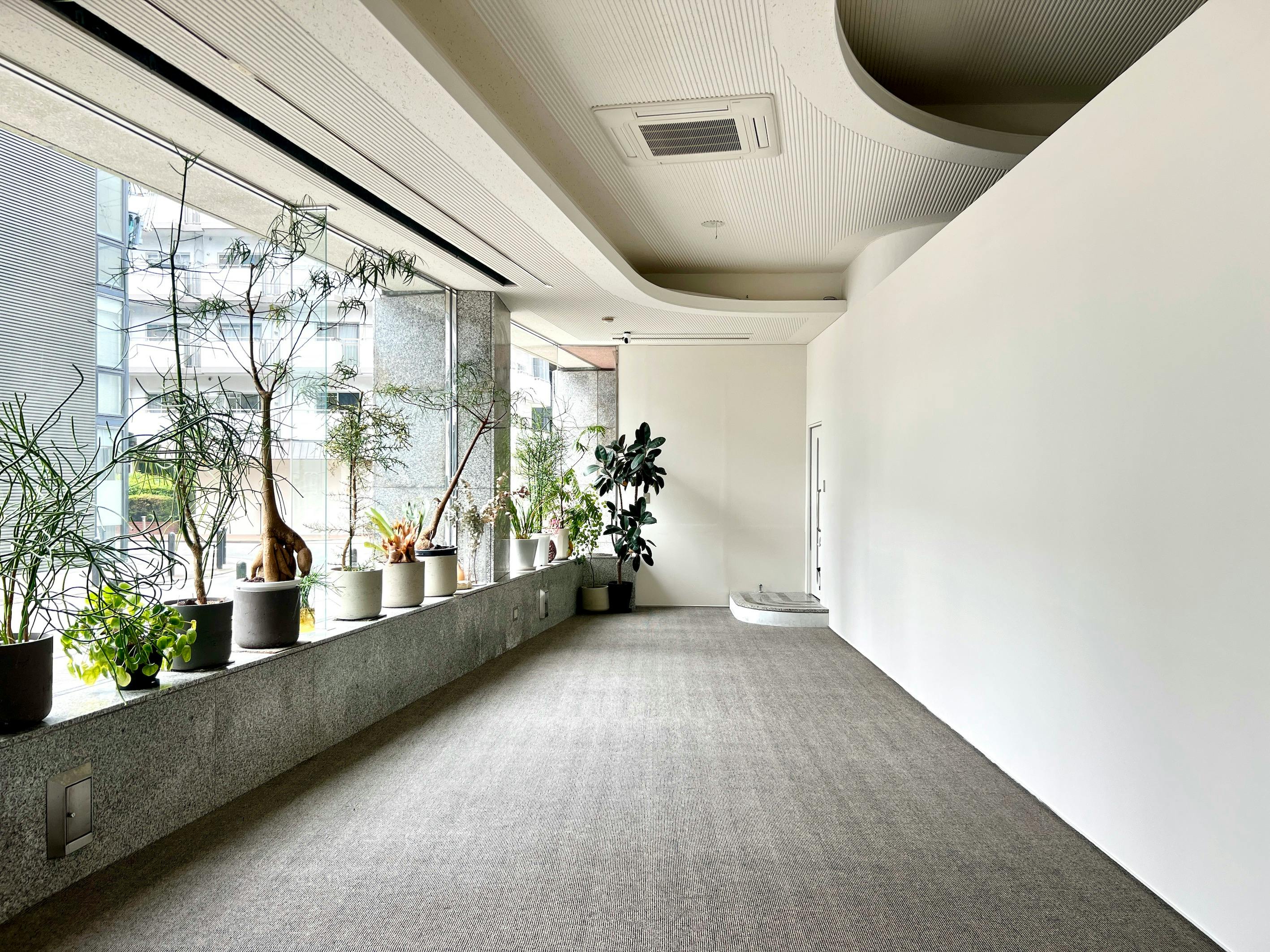 【NEW OPEN|天神駅徒歩5分】撮影・展示会・ポップアップに最適な、自然光があふれる路面スペース ※オープン記念限定価格