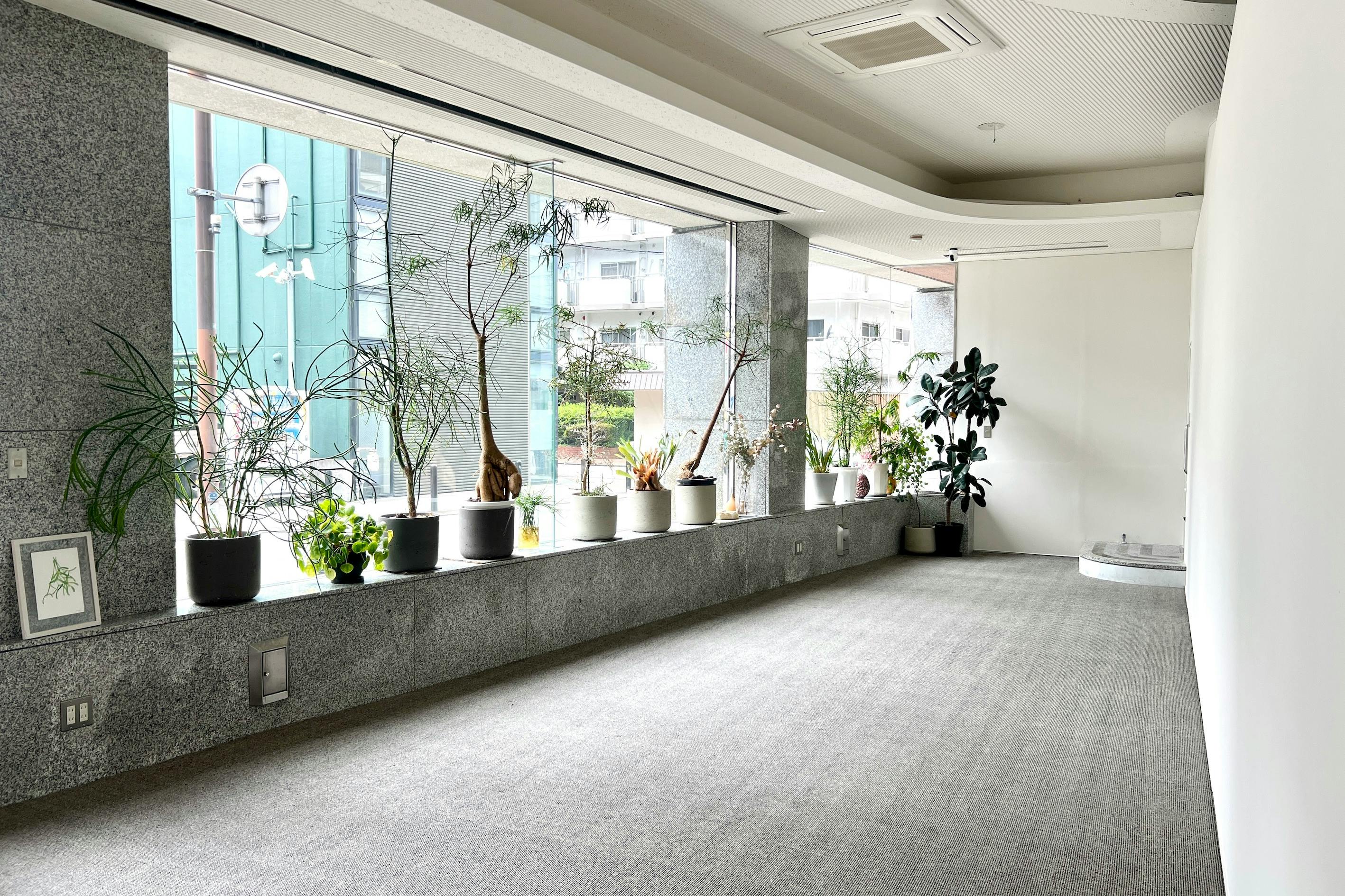 【NEW OPEN|天神駅徒歩5分】撮影・展示会・ポップアップに最適な、自然光があふれる路面スペース ※オープン記念限定価格