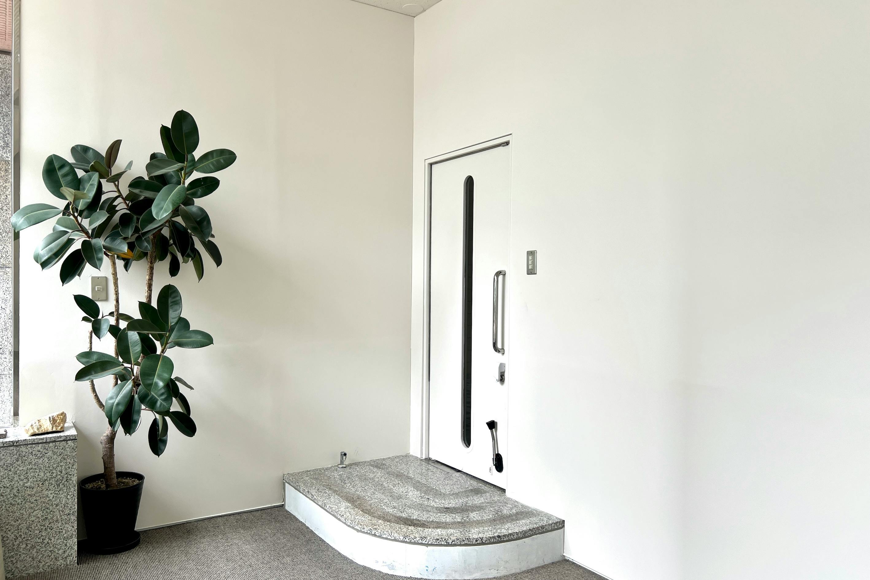 【NEW OPEN|天神駅徒歩5分】撮影・展示会・ポップアップに最適な、自然光があふれる路面スペース ※オープン記念限定価格