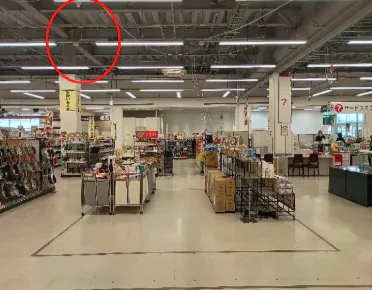 【イオン七戸十和田駅前店】食品レジ後ろ催事場 販促プロモーションに最適なスーパー店内催事イベントスペース