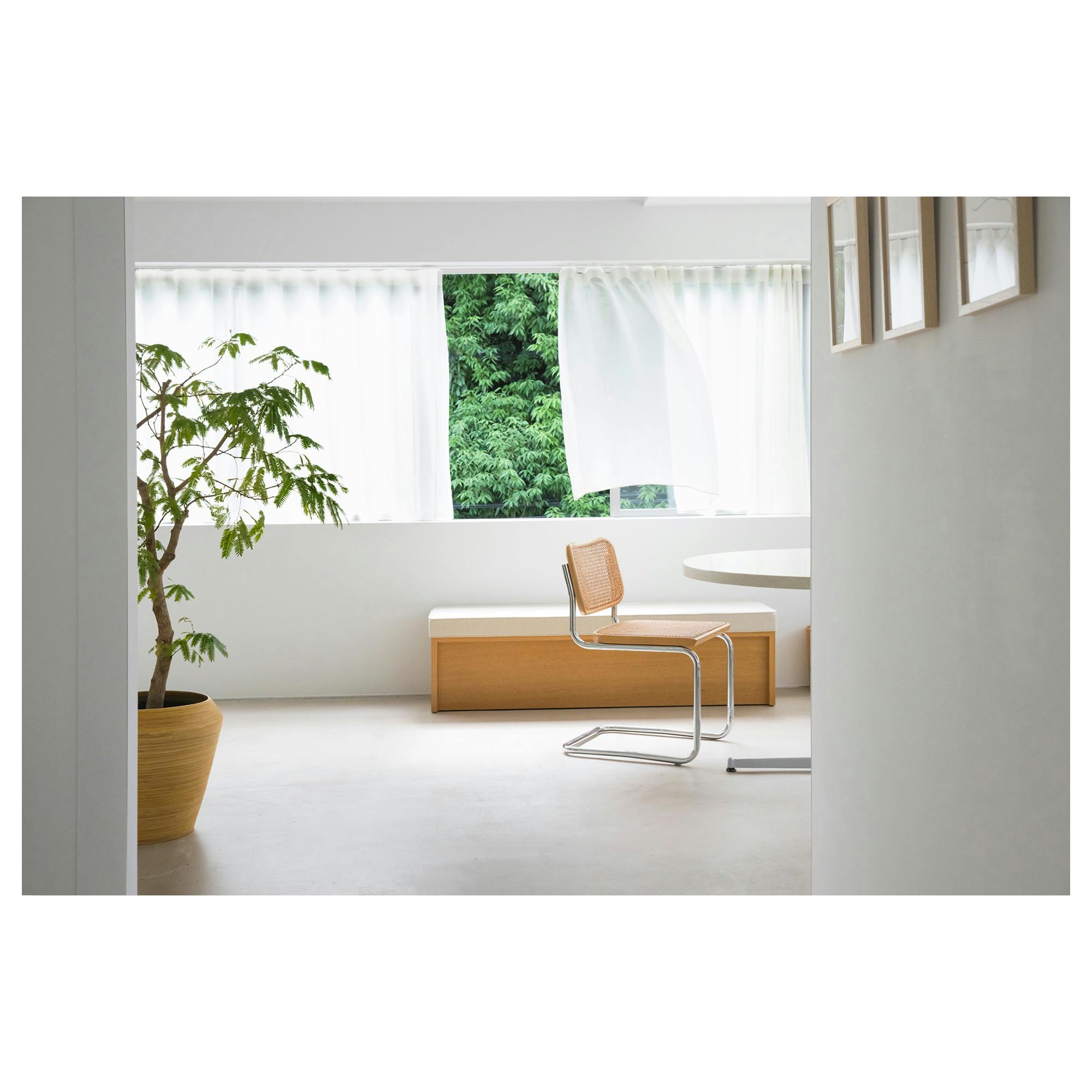 【青山一丁目駅5分】アパレルの展示会やポップアップストアに最適!青山公園沿いにある白を基調とした自然光たっぷりのレンタルスペース