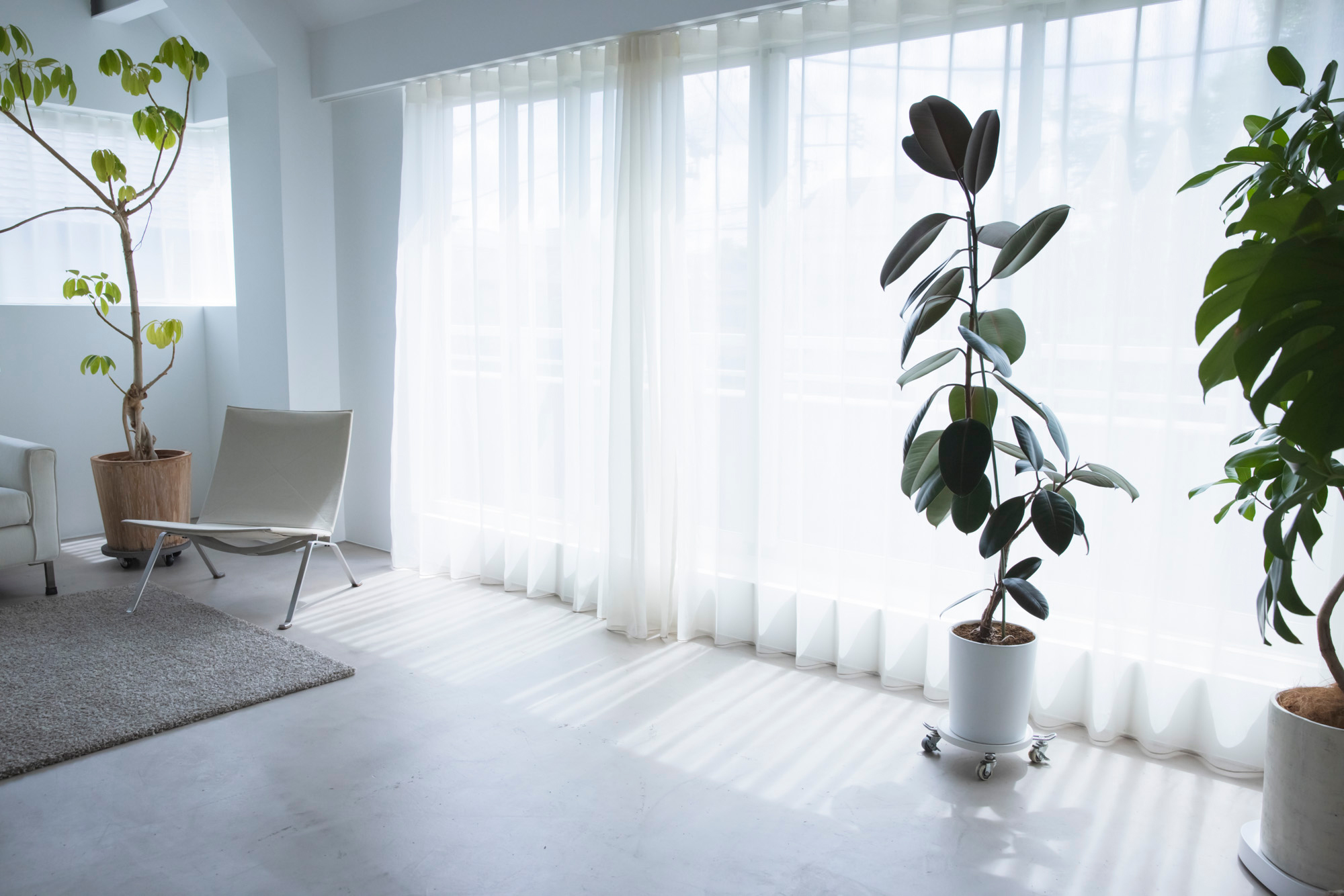 【青山一丁目駅5分】アパレルの展示会やポップアップストアに最適！青山公園沿いにある白を基調とした自然光たっぷりのレンタルスペース