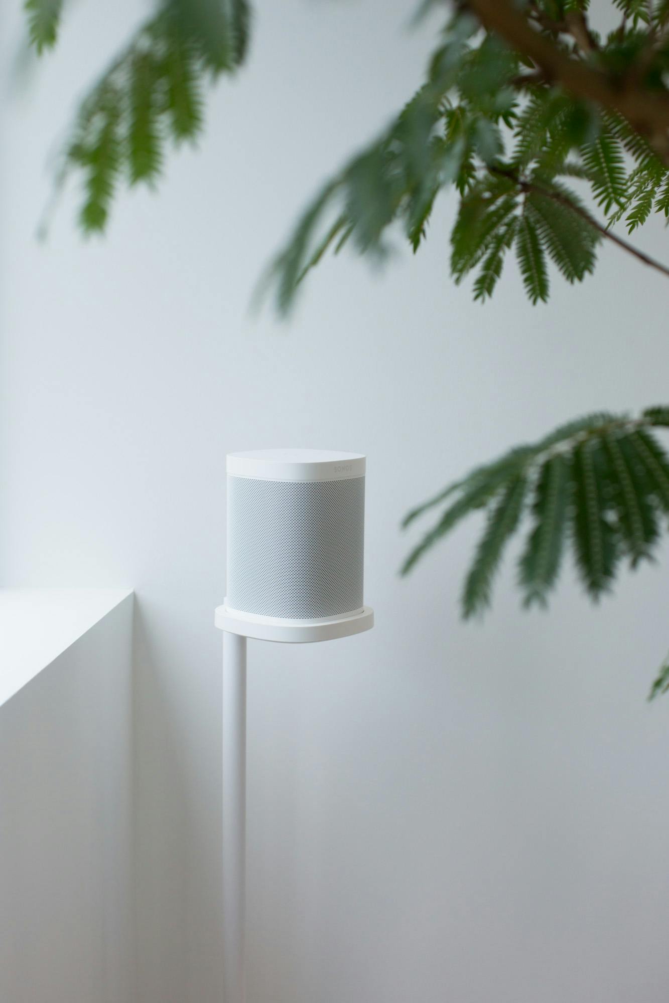 【青山一丁目駅5分】アパレルの展示会やポップアップストアに最適!青山公園沿いにある白を基調とした自然光たっぷりのレンタルスペース