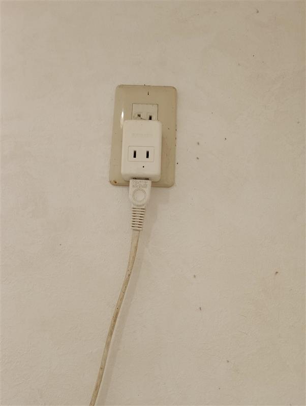 【ゆめマート 豊前】青果側風除室　物販や販促プロモーションにおすすめな催事イベントスペース