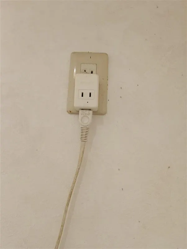 【ゆめマート 豊前】青果側風除室　物販や販促プロモーションにおすすめな催事イベントスペース