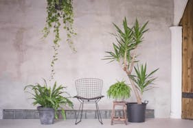 【神泉駅8分】撮影・展示会に適した白壁ナチュラルな雰囲気で生配信も可能なスタジオ