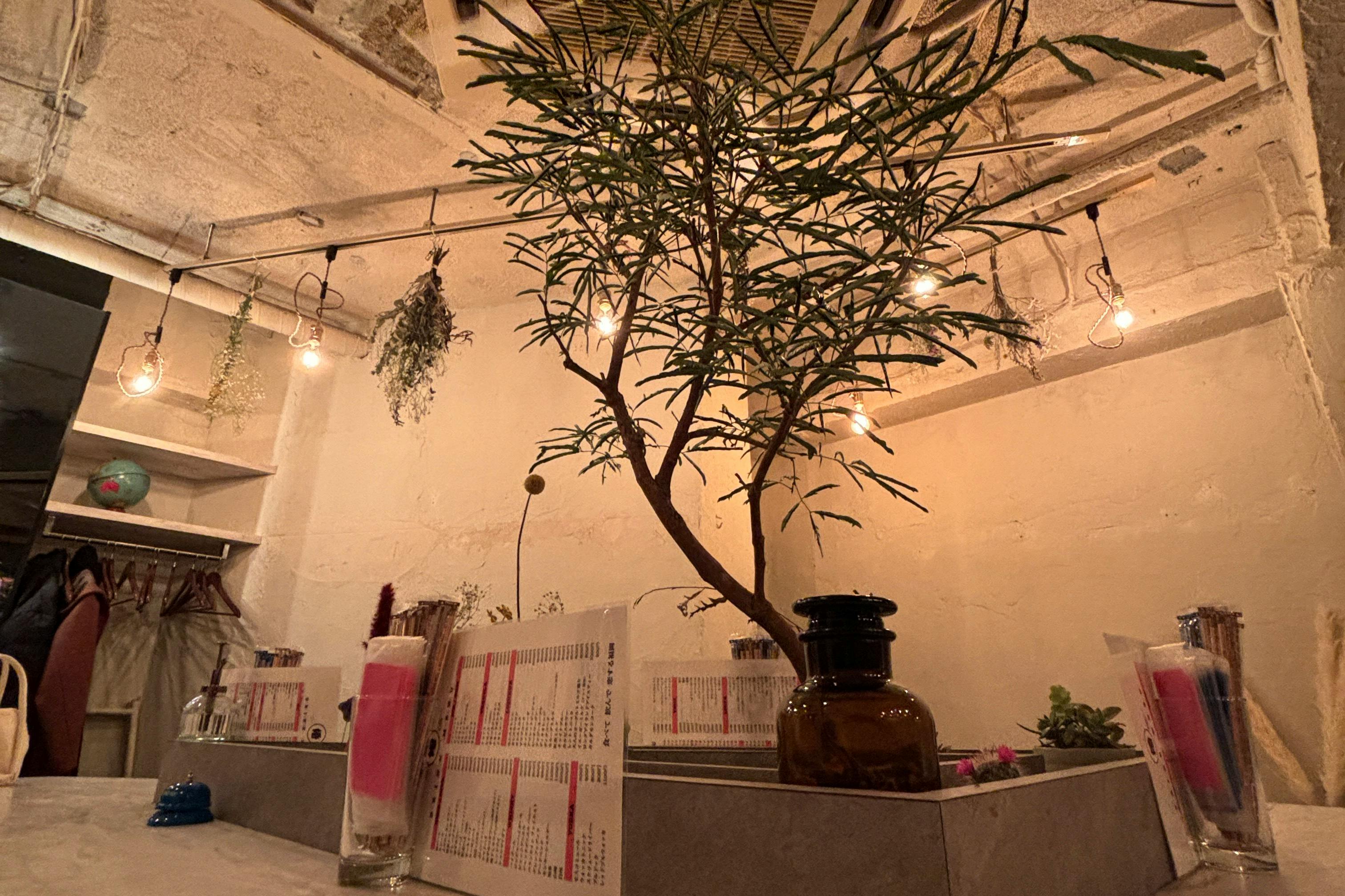 【天神南駅4分】撮影会やオフサイトミーティング等に最適なアンティーク内装を楽しめる飲食店スペース