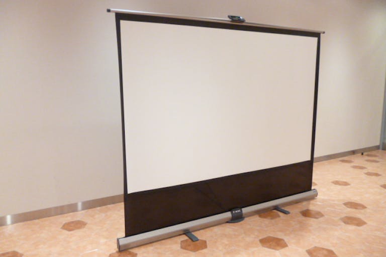 スクリーン(100型)