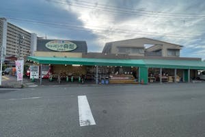 【ショッピングのだ 出来島店】プロモーションや食物販に最適な視認性の高い店頭スペース