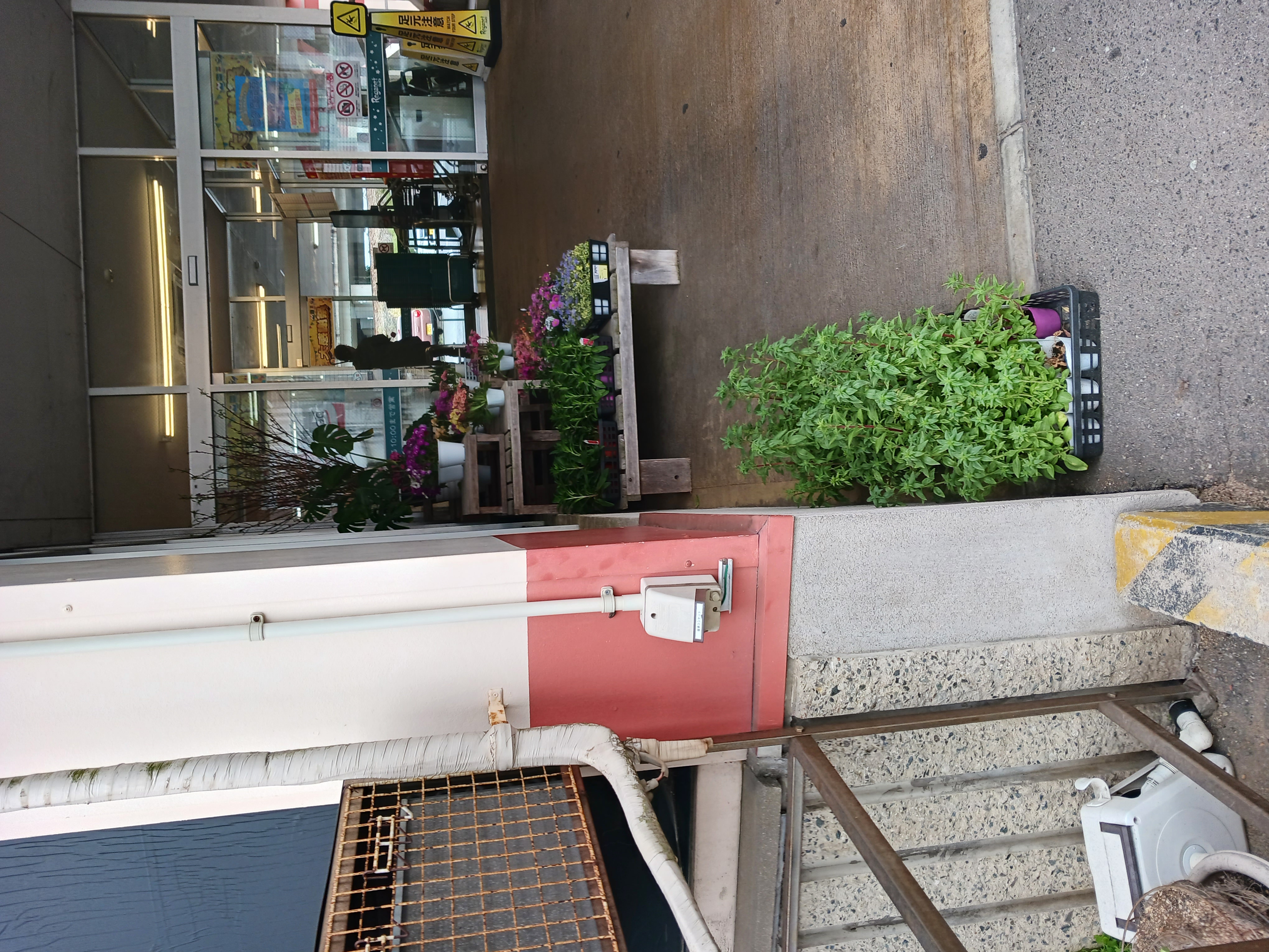 【レガネット小郡】駐車場店内入口側 販促プロモーションや物販に最適なスーパー屋外催事イベントスペース