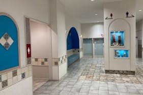 【イオンモール四條畷】全館 モール内広告(パウダールーム)