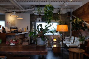 【四ツ橋駅4分】ウッド基調で様々な観葉植物が共存した撮影に最適なレンタルスペース