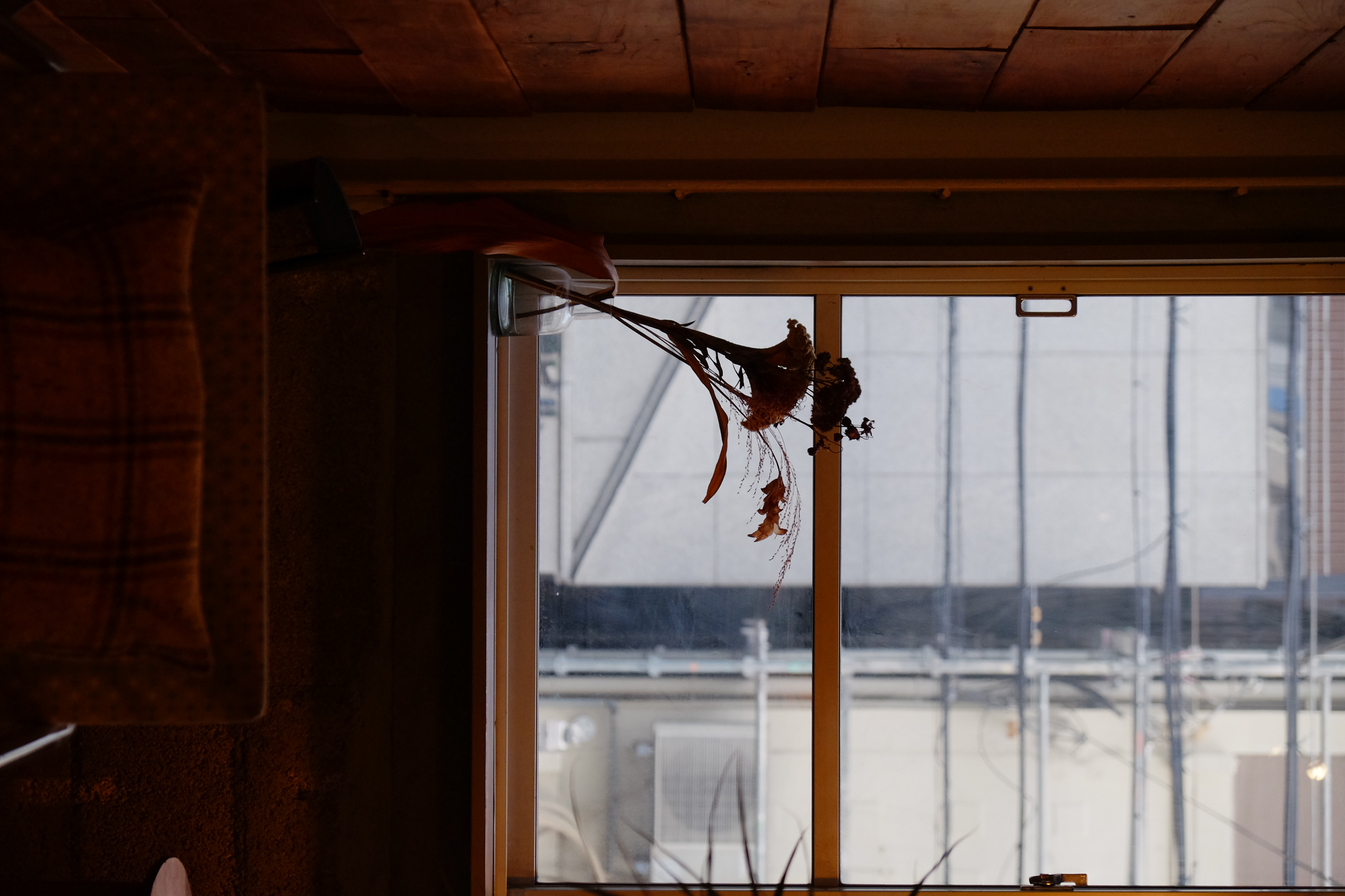 【四ツ橋駅4分】ウッド基調で様々な観葉植物が共存した撮影に最適なレンタルスペース