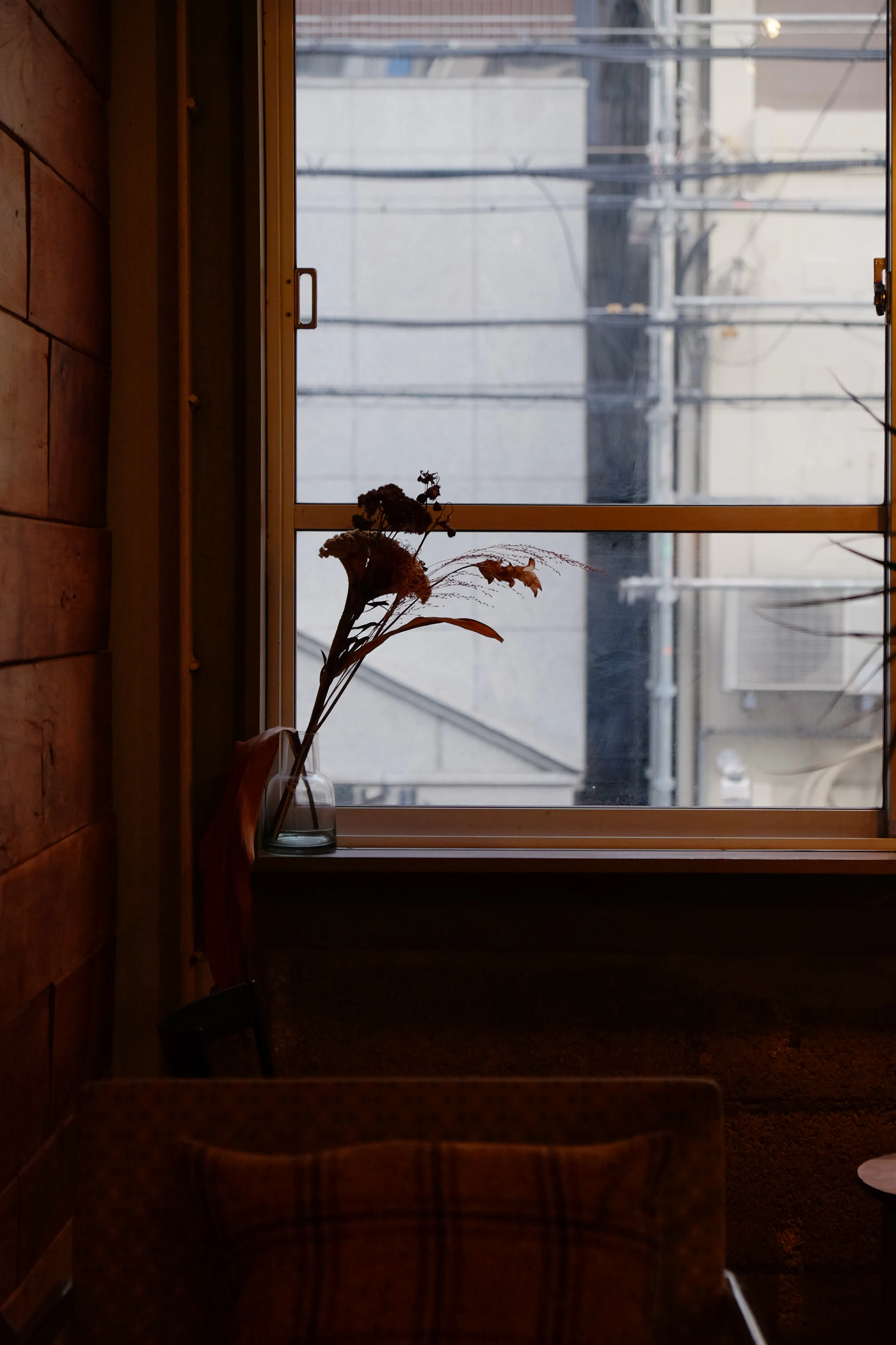 【四ツ橋駅4分】ウッド基調で様々な観葉植物が共存した撮影に最適なレンタルスペース