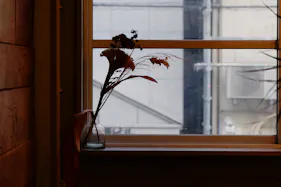 【四ツ橋駅4分】ウッド基調で様々な観葉植物が共存した撮影に最適なレンタルスペース