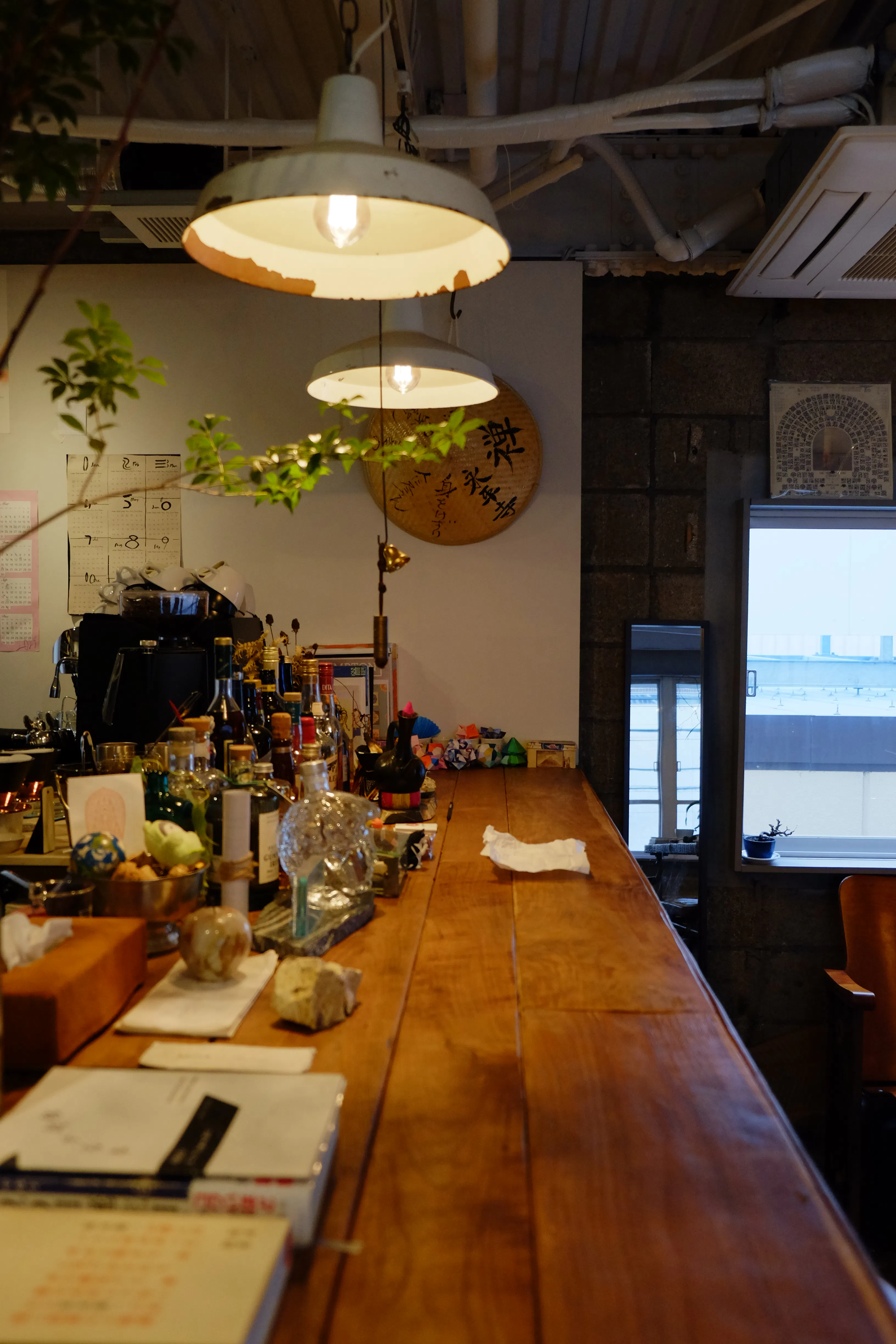 【四ツ橋駅4分】ウッド基調で様々な観葉植物が共存した撮影に最適なレンタルスペース