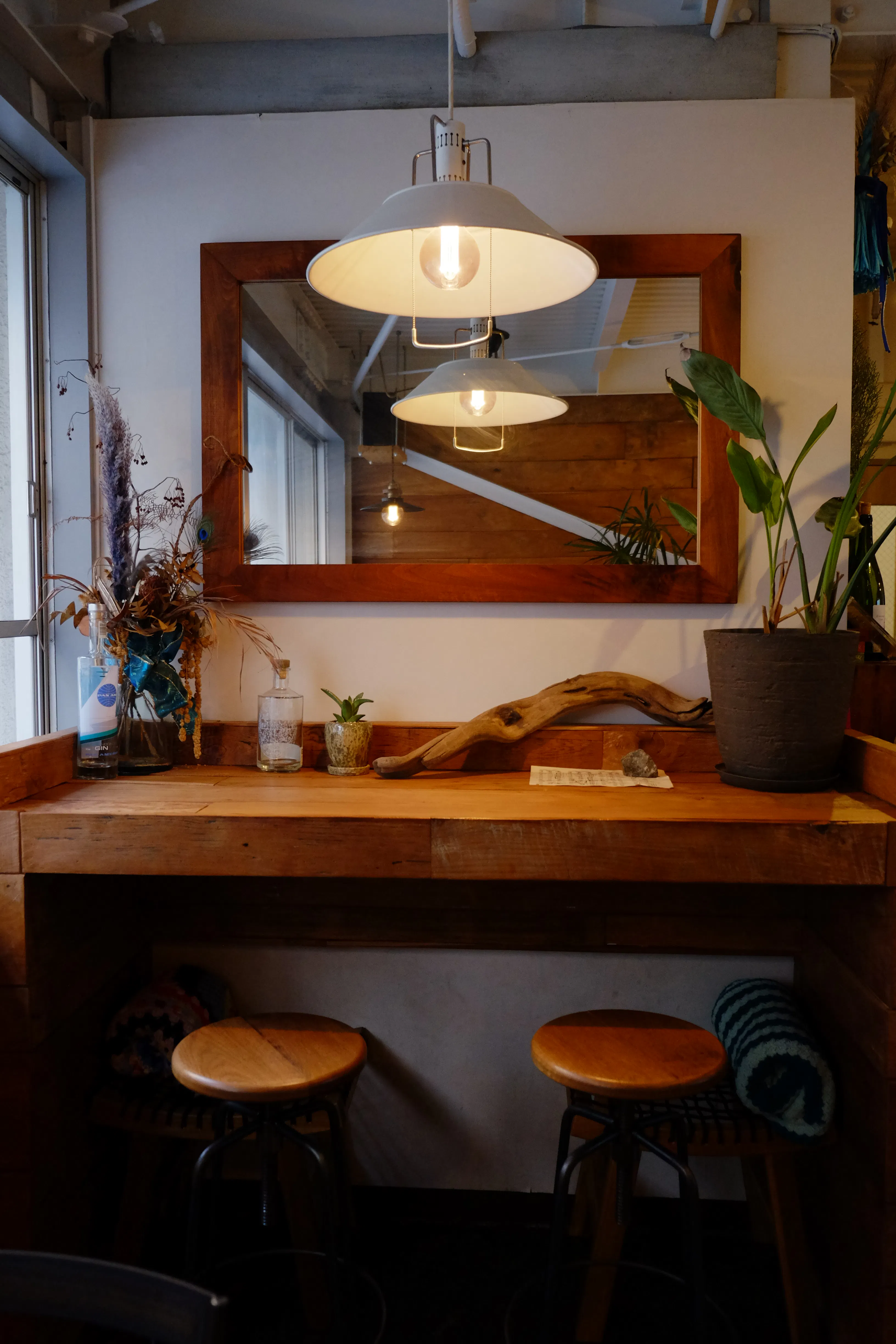 【四ツ橋駅4分】ウッド基調で様々な観葉植物が共存した撮影に最適なレンタルスペース