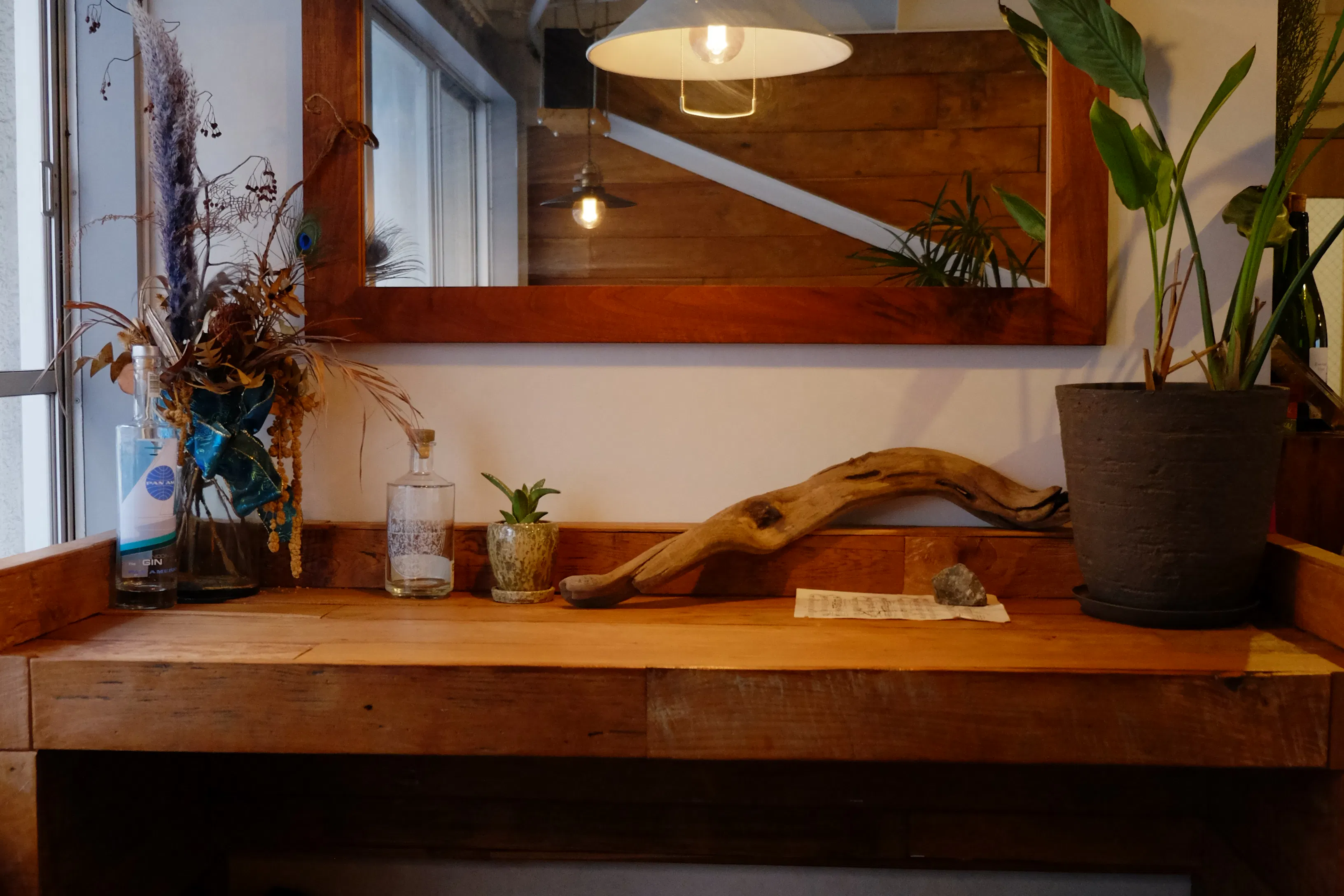 【四ツ橋駅4分】ウッド基調で様々な観葉植物が共存した撮影に最適なレンタルスペース