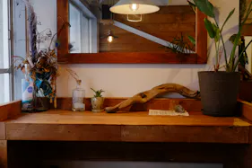 【四ツ橋駅4分】ウッド基調で様々な観葉植物が共存した撮影に最適なレンタルスペース