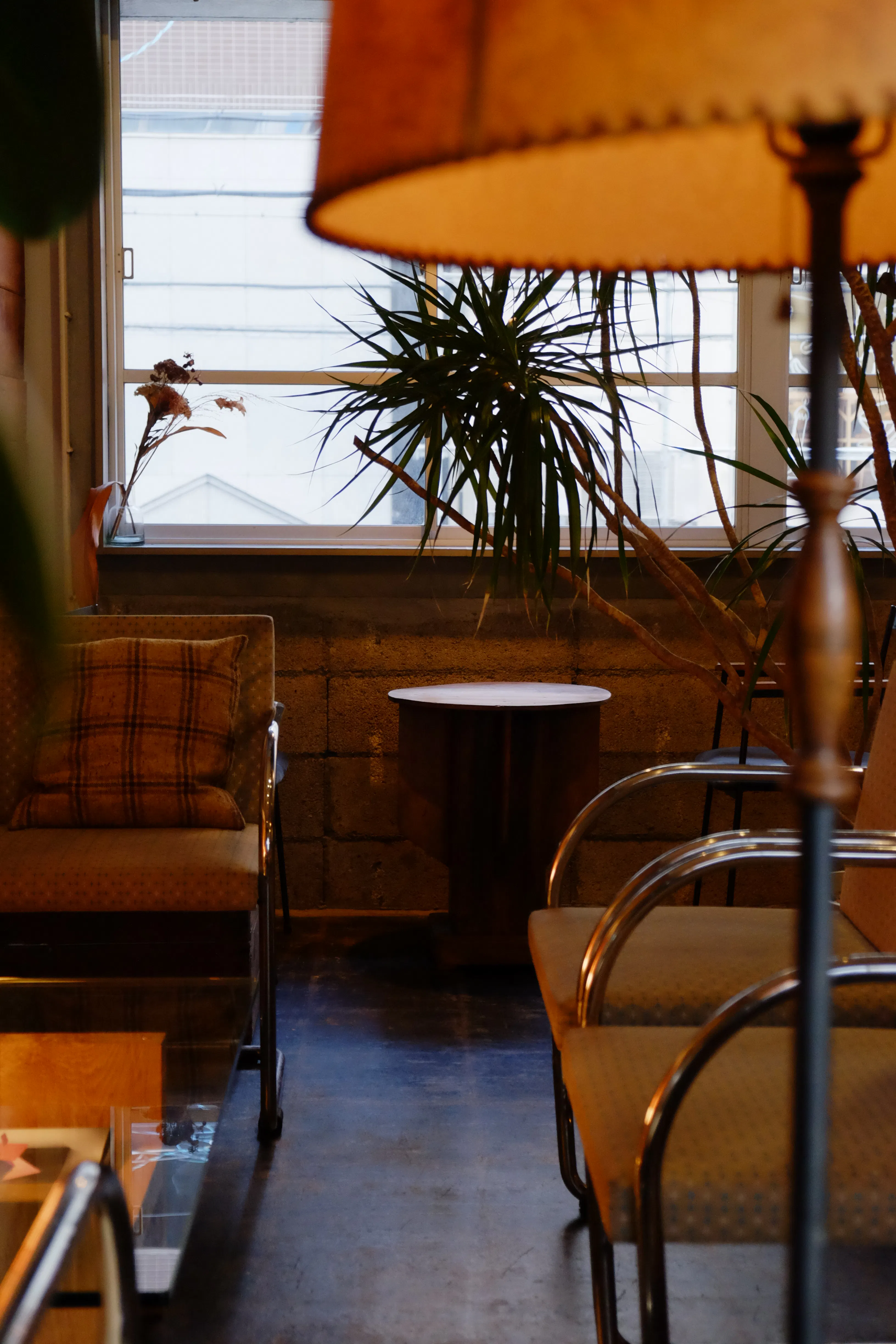 【四ツ橋駅4分】ウッド基調で様々な観葉植物が共存した撮影に最適なレンタルスペース