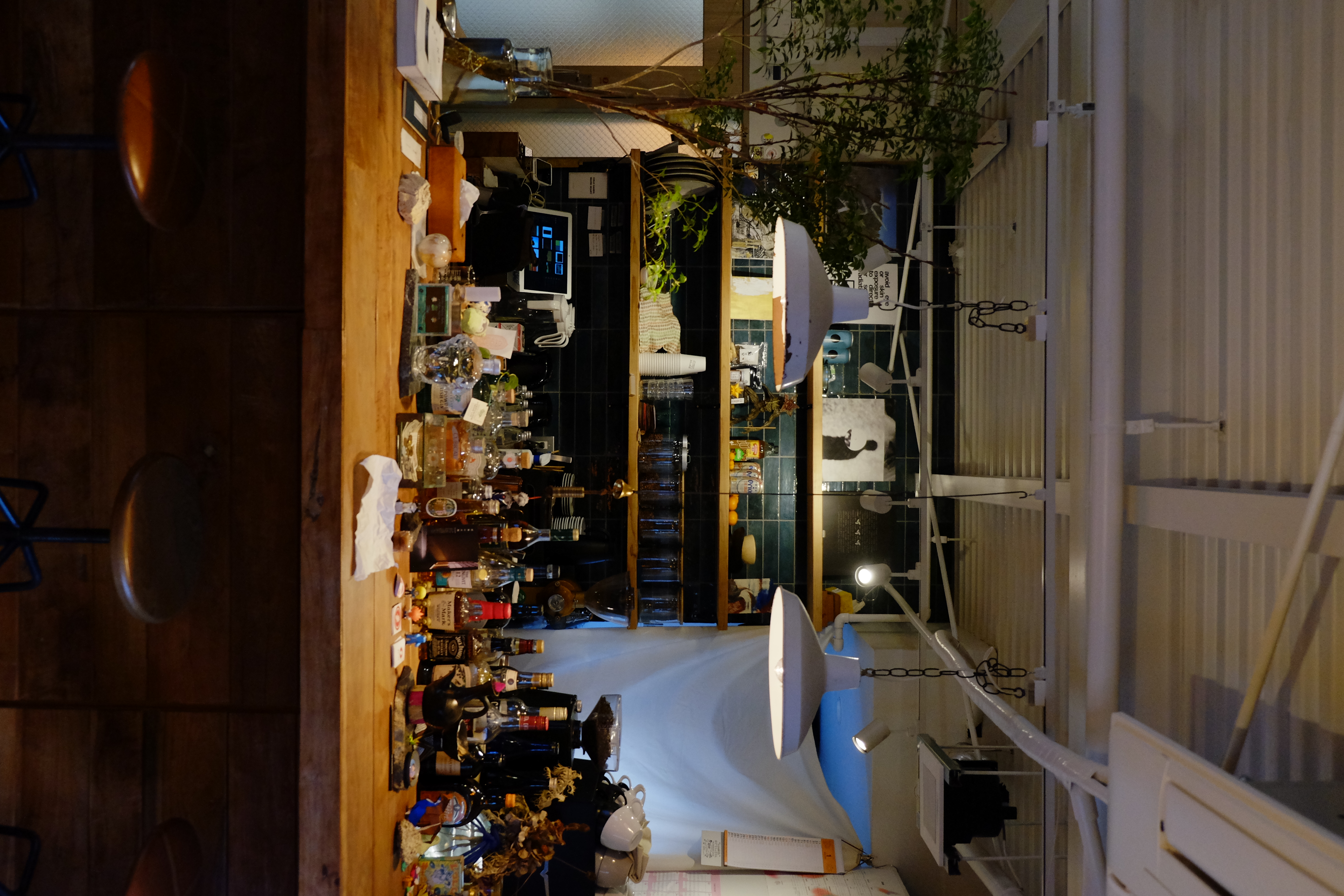 【四ツ橋駅4分】ウッド基調で様々な観葉植物が共存した撮影に最適なレンタルスペース